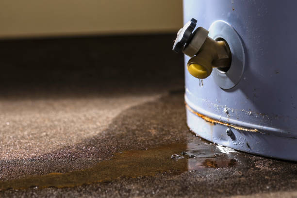 Best Water damage restoration near me  in Clksville, AR