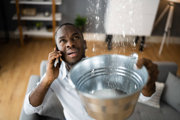 Best Flood damage cleanup  in Clksville, AR