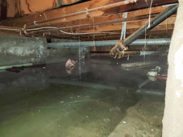 Best Flooded house restoration  in Clksville, AR
