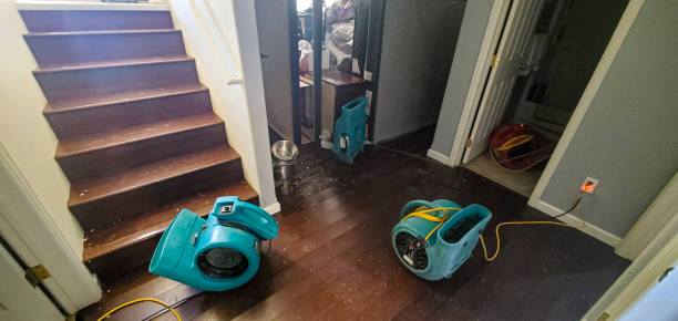  Clksville, AR Water damage restoration Pros