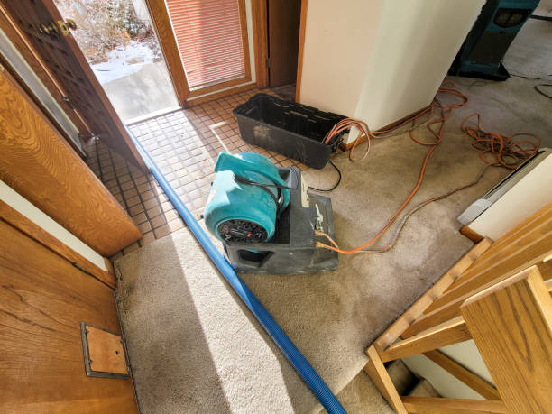 Best Flood restoration services  in Clksville, AR