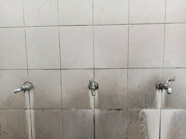 Best Carpet water damage restoration  in Clksville, AR