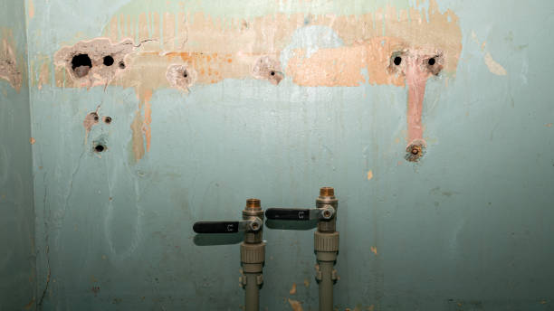 Best Basement water damage restoration  in Clksville, AR